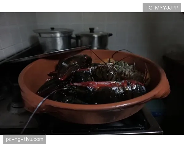 张本智和训练完直接冲去吃米其林，这胃是铁打的吧